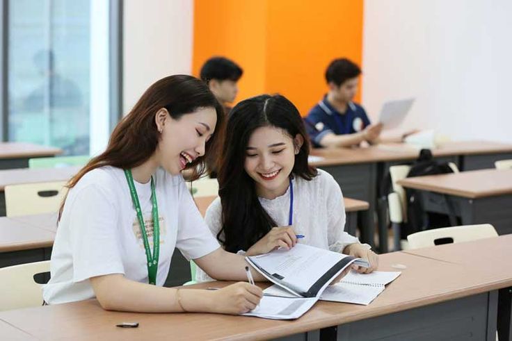 Cultural Connection: Exploring Chinese Language Education